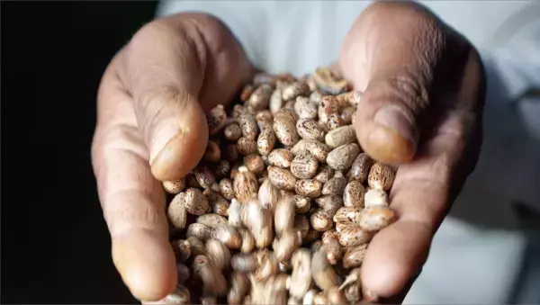 フードの着脱が可能な花粉対策メガネ 全国のパリミキで発売中