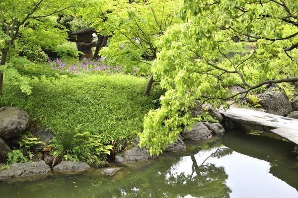 都立9庭園　5月4日(木・祝)みどりの日は無料開園！
