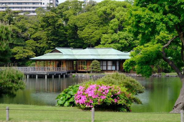 都立9庭園　5月4日(木・祝)みどりの日は無料開園！