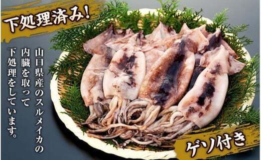 周南市ふるさと納税返礼品に新商品を追加しました