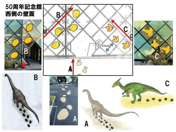【岡山理科大学】7000万年前に思いを馳せて！壁面ガラスに３種類の恐竜の歩行足跡を展示！