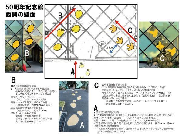 【岡山理科大学】7000万年前に思いを馳せて！壁面ガラスに３種類の恐竜の歩行足跡を展示！