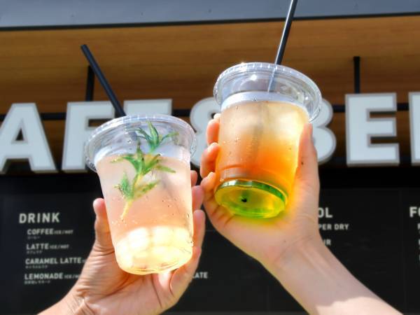 プール「ザ・ブーン」 7月15日(土)スタート プール限定「ひらパープレミアムガチャ」と 7月平日限定「スライダーフリーパス」が新登場！