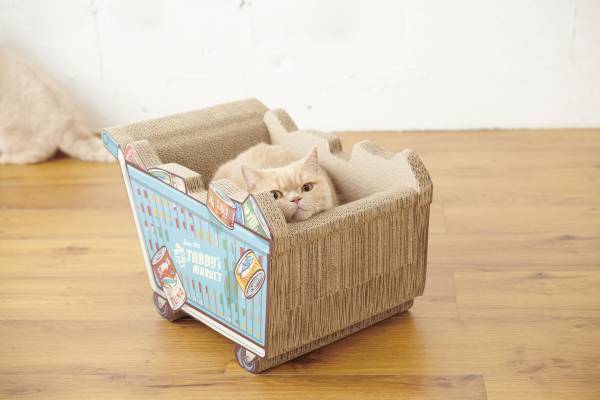【NEW ARRIVAL 6月号】子猫にもおすすめ！SNSで映える爪とぎに待望のSサイズが新作で登場！