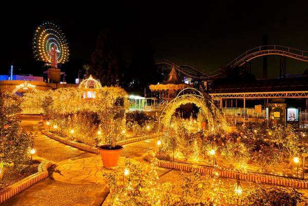 生まれ変わったイルミネーションが花ひらく「光の遊園地～Flowering Illumination～」開催
