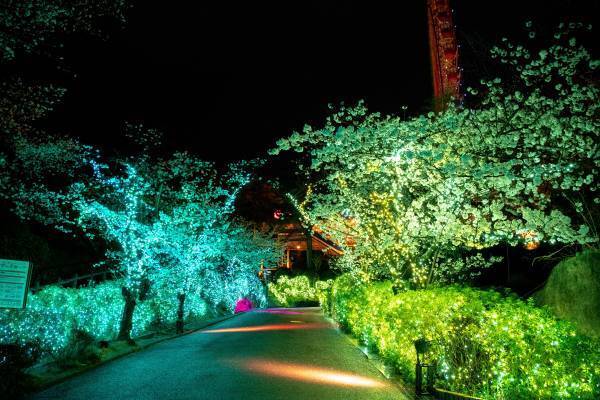 生まれ変わったイルミネーションが花ひらく「光の遊園地～Flowering Illumination～」開催