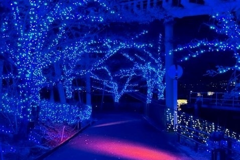 生まれ変わったイルミネーションが花ひらく「光の遊園地～Flowering Illumination～」開催