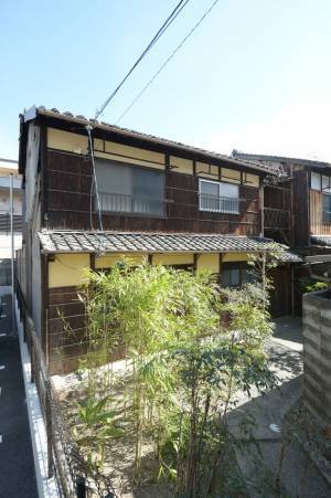 蜂蜜酒（ミード）をもっと知ってほしい 京都初！飲んで学べるミード専門醸造所立ち上げへ 老舗蜂蜜屋三代目・ハニーハンターの挑戦