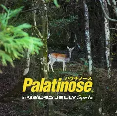 『第9回Fun Trails Round 秩父＆奥武蔵 100K/30K』への協賛決定