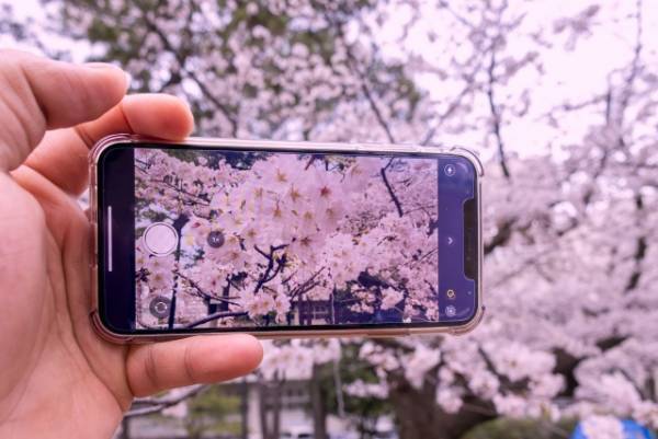 ブラウブリッツ秋田スポンサーの買取専門店さすがや、秋田県横手市に初出店！4月8日イオン横手店にオープン、秋田県内5店舗展開に。