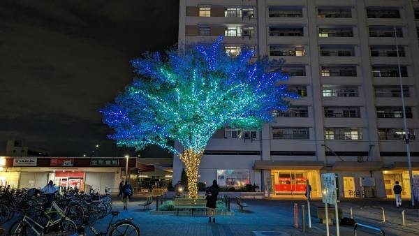 【12/1（金）から】19万球超「かなまちイルミネーション」開催