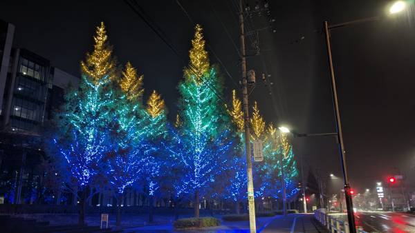 【12/1（金）から】19万球超「かなまちイルミネーション」開催