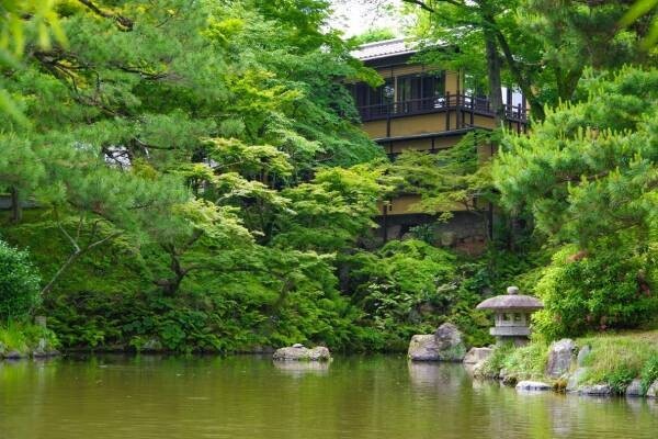 圧巻の紅葉を眺めながらお団子を味わえる祇園の和モダンカフェ「eXcafe祇園八坂」