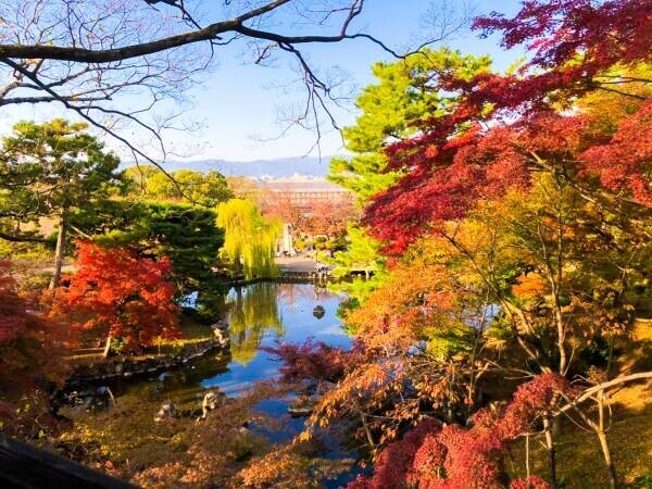 圧巻の紅葉を眺めながらお団子を味わえる祇園の和モダンカフェ「eXcafe祇園八坂」