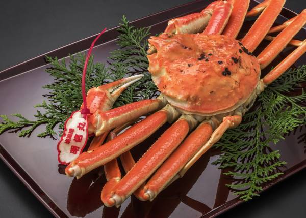 【温泉宿・ホテル総選挙2023　４部門受賞！】　　　絶景日本海を眼前に佇む舟型の宿 京都府京丹後市「一望館　はなれ櫂」