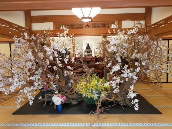 【フラワーロス救済】華道家『假屋崎省吾桜をいける！』に規格外のチューリップとガーベラを提供