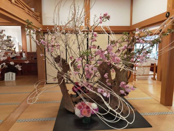 【フラワーロス救済】華道家『假屋崎省吾桜をいける！』に規格外のチューリップとガーベラを提供