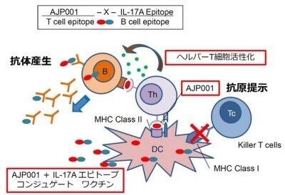 【森ノ宮医療大学】希少難病の治療ワクチンの治験開始～強直性脊椎炎に対する新治療技術～