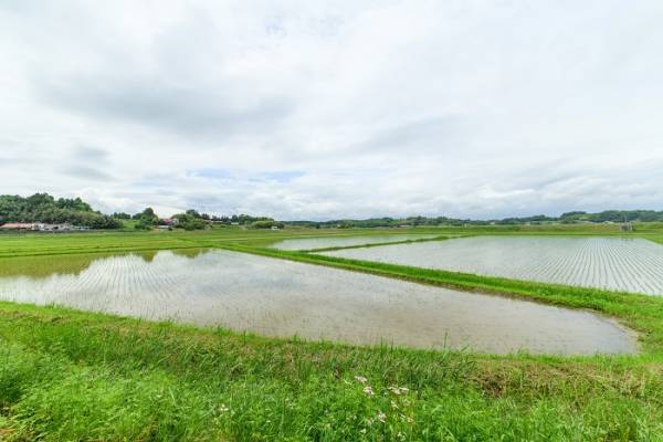 【宮城県・一の坊リゾート】安心、高品質な食材を求めて「Meet-Up TOHOKU ソト活 一の坊™️」～生産者訪問で料理長が地域の食材や生産者のこだわりを発掘～