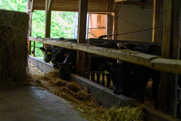 【宮城県・一の坊リゾート】安心、高品質な食材を求めて「Meet-Up TOHOKU ソト活 一の坊™️」～生産者訪問で料理長が地域の食材や生産者のこだわりを発掘～