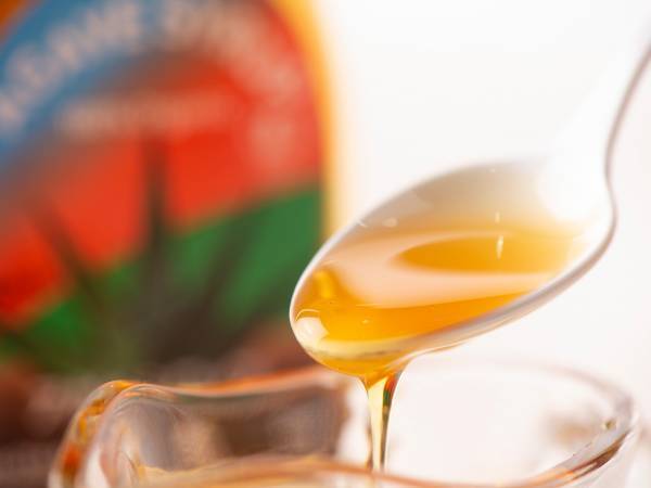 白砂糖不使用でここまで美味しい！ギルトフリーな生チョコレート「アガベ・アステカーナ」発売5周年。ビターチョコ好き必食のキレのある大人の甘みを味わって【自然派スイーツショップ QBG Lady Bear】