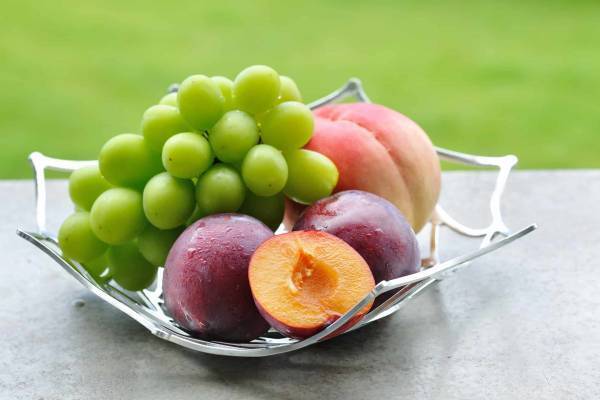 【星のや富士】河口湖の絶景を望むテラスで山梨の三大フルーツを味わう「グランピングフルーツ朝食」を提供 ～アウトドア器具を用いて料理を仕上げる体験も～｜期間：2023年7月1日～8月31日