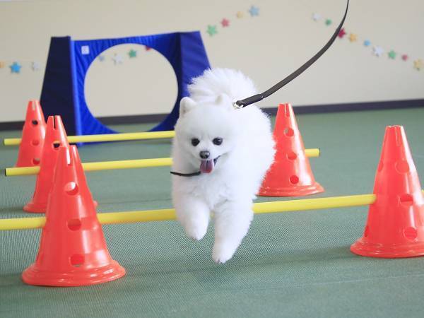 プチソロ活サウナを愉しめる北海道の温泉旅館「ゆとりろ洞爺湖」が サ飯＆サウナドリンク付きプラン販売＜2023年1月末まで＞