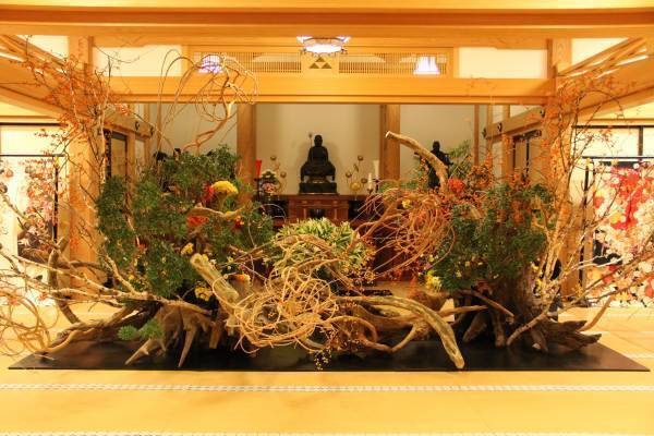 假屋崎省吾 華道歴40周年記念 円覚寺山内佛日庵で個展開催決定　デモンストレーションショーやサイン会も実施　カンフェティでチケット発売
