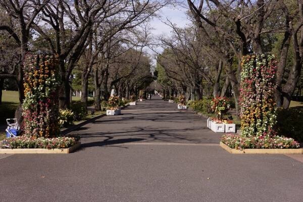 あと5日！【11/5(日)まで】「花と光のムーブメント　府中の森公園×サンパチェンス」が開催中！