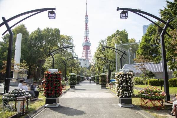 あと5日！【11/5(日)まで】「花と光のムーブメント　府中の森公園×サンパチェンス」が開催中！