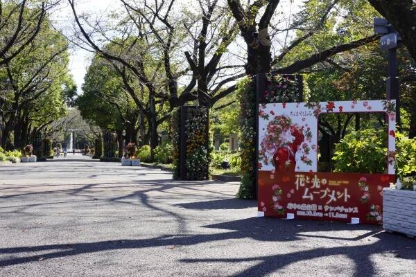 あと5日！【11/5(日)まで】「花と光のムーブメント　府中の森公園×サンパチェンス」が開催中！