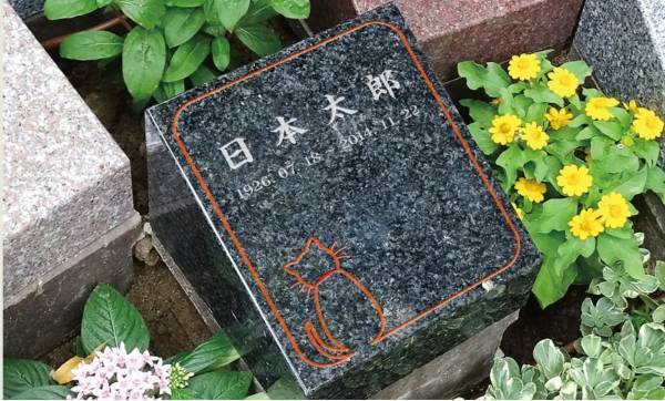 【1月31日愛妻の日】花好きの奥様にぴったり！華やかで寂しくない樹木葬