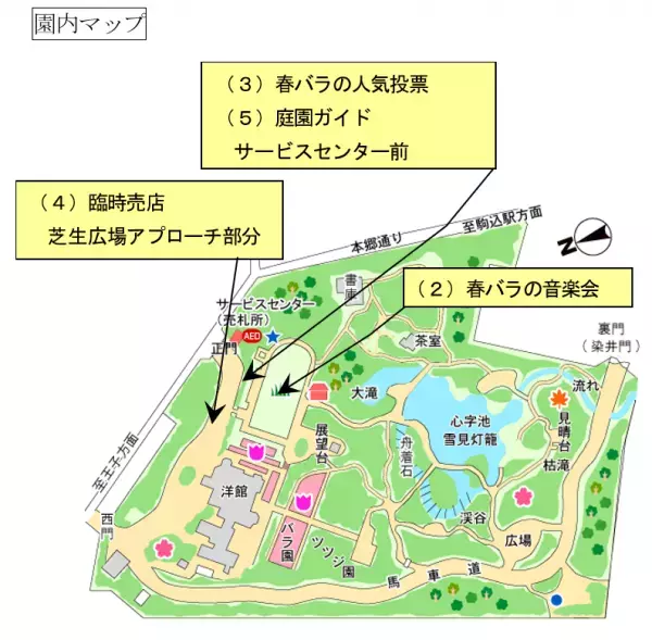 旧古河庭園「2023春のバラフェスティバル」４月28日（金）～６月30日（金）開催決定。