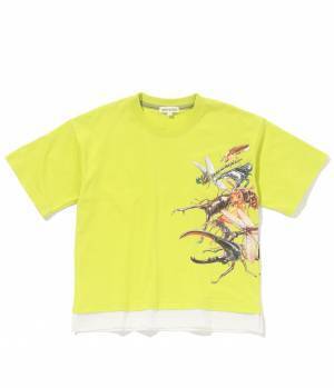 めちゃ強い！昆虫、水中生物が新たにラインナップ 「最強王図鑑×SHOO･LA･RUE（シューラルー）」 コラボ商品第2弾が発売！