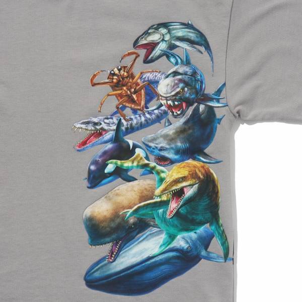 めちゃ強い！昆虫、水中生物が新たにラインナップ 「最強王図鑑×SHOO･LA･RUE（シューラルー）」 コラボ商品第2弾が発売！