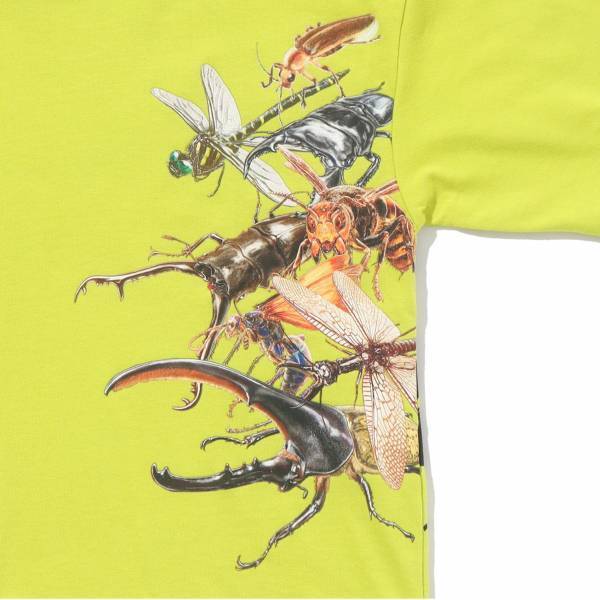 めちゃ強い！昆虫、水中生物が新たにラインナップ 「最強王図鑑×SHOO･LA･RUE（シューラルー）」 コラボ商品第2弾が発売！