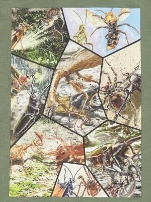 めちゃ強い！昆虫、水中生物が新たにラインナップ 「最強王図鑑×SHOO･LA･RUE（シューラルー）」 コラボ商品第2弾が発売！