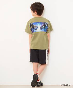 めちゃ強い！昆虫、水中生物が新たにラインナップ 「最強王図鑑×SHOO･LA･RUE（シューラルー）」 コラボ商品第2弾が発売！