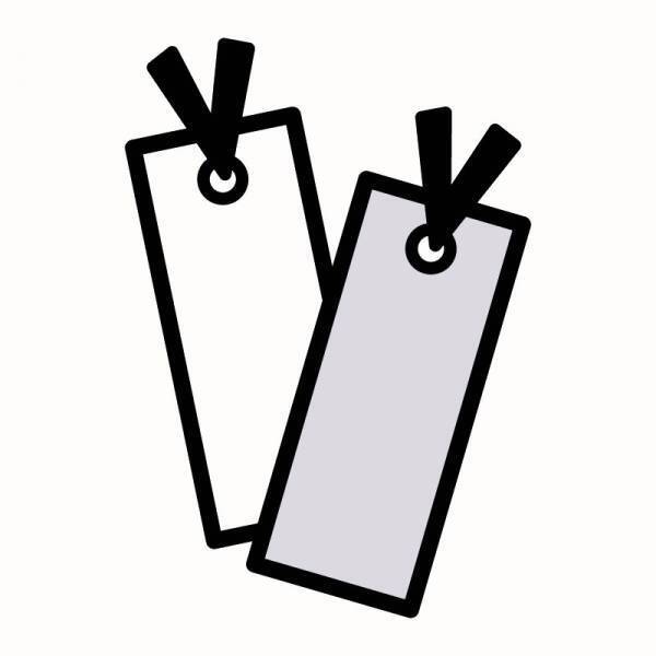 ～ びわ湖の美しい冬景色を味わう2時間半の船旅へ ～ びわ湖縦走 雪見船クルーズ