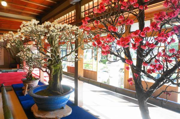 ～ びわ湖の美しい冬景色を味わう2時間半の船旅へ ～ びわ湖縦走 雪見船クルーズ