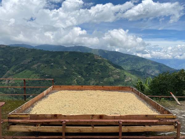 【9/25開催決定！】コロンビア産コーヒーを味わうSCAJ Preview Party