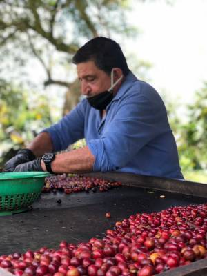 【9/25開催決定！】コロンビア産コーヒーを味わうSCAJ Preview Party