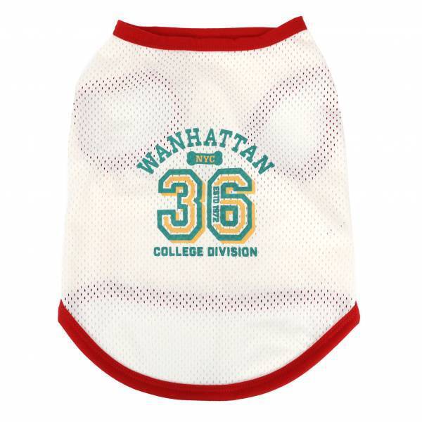 『036PETS（オーサムペッツ）』シリーズから夏の新作ペット用サングラス＆おすすめアイテムが登場