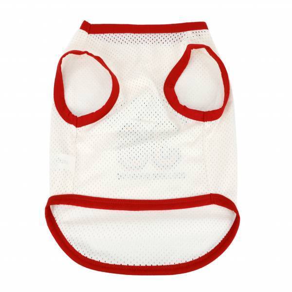 『036PETS（オーサムペッツ）』シリーズから夏の新作ペット用サングラス＆おすすめアイテムが登場