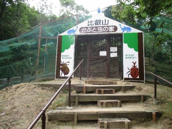 比叡山ドライブウェイの夏の風物詩 「かぶと虫の家」オープン