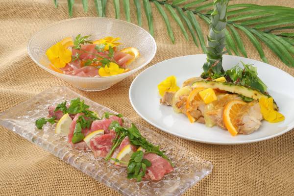 ホテル京阪 京都 グランデ 金・土・日・祝日限定！「ハワイアンフェア～AKAAKA～」 を開催します