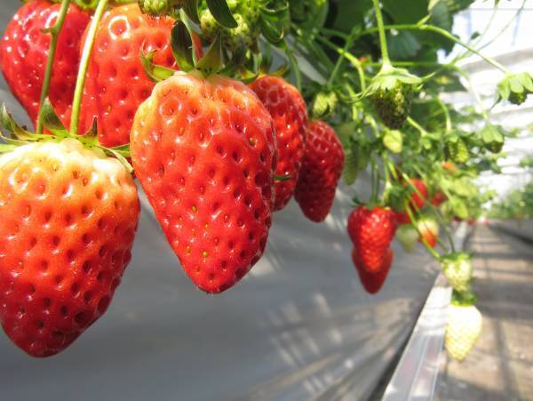 春分のご来光を拝む～いわきの聖地観光巡り～バスツアー開催！