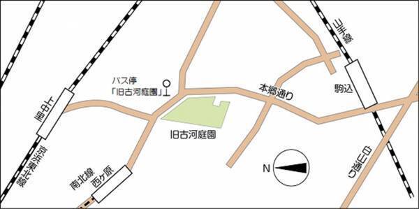 【旧古河庭園】11/11～12/３開催　紅葉とバラ、和と洋の秋