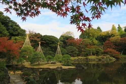 【旧古河庭園】11/11～12/３開催　紅葉とバラ、和と洋の秋