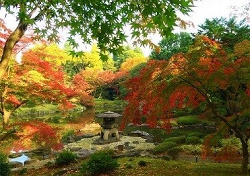 【旧古河庭園】11/11～12/３開催　紅葉とバラ、和と洋の秋